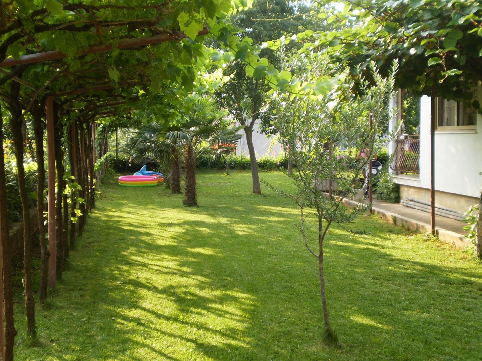 Apartment Modrusan *